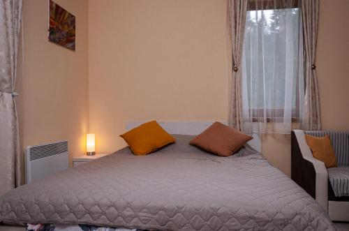 a bedroom with a bed with two pillows and a window at Studio 6,Smolyan lakes in Smolyan