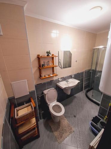 a bathroom with a toilet and a sink at Studio 6,Smolyan lakes in Smolyan