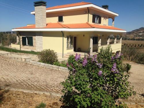 a house with a bush in front of it at Casa dos Copins in Lamego