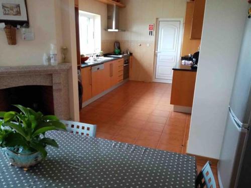 a kitchen with a table with a potted plant on it at Casa dos Copins in Lamego
