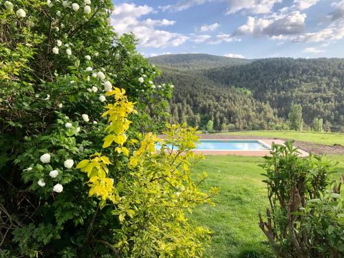 un arbusto con flores amarillas y una piscina en La Borda del Feu, en Guardia de Arés