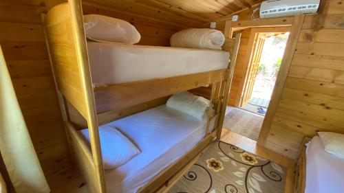 a set of bunk beds in a wooden cabin at Kaçkar Kavrun Dağ Evleri in Rize