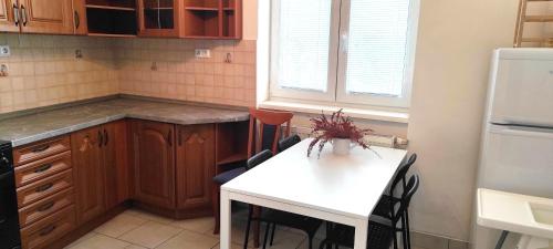 cocina con mesa blanca y nevera blanca en Apartment Green House - Old Town, en Bratislava
