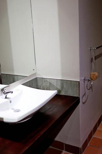 a bathroom with a sink and a mirror at Elegant Lodge & Conference Center in Pongola