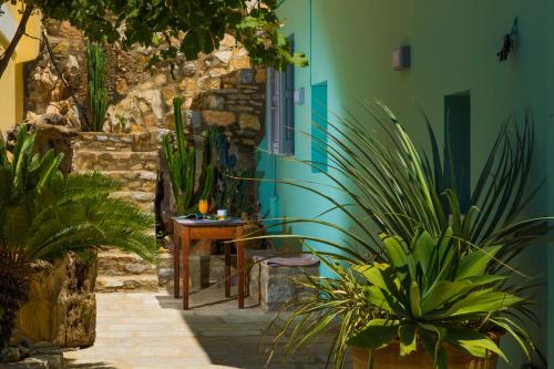 a courtyard with plants and a blue building at Ialemos Group in Symi