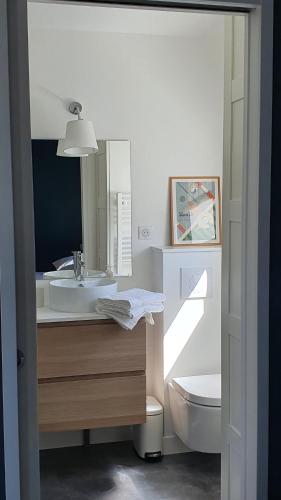a bathroom with a sink and a toilet and a mirror at Gîte avec bain nordique dans la campagne brayonne pour 2 personnes in Massy