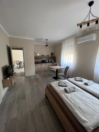 Postel nebo postele na pokoji v ubytování Alina apartmanok