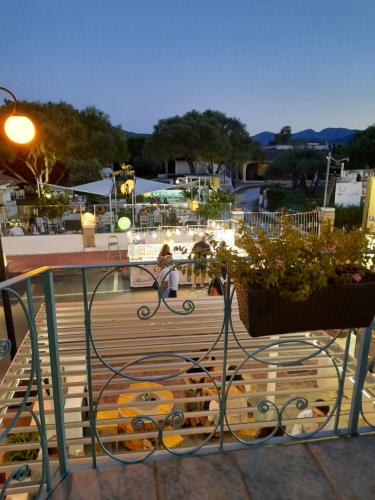 a bench with two potted plants on top of it at B&B La Pavoncella in San Teodoro