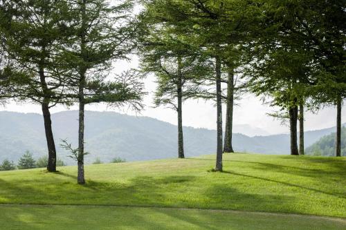 Naturlandschaft in der Nähe des Hotels