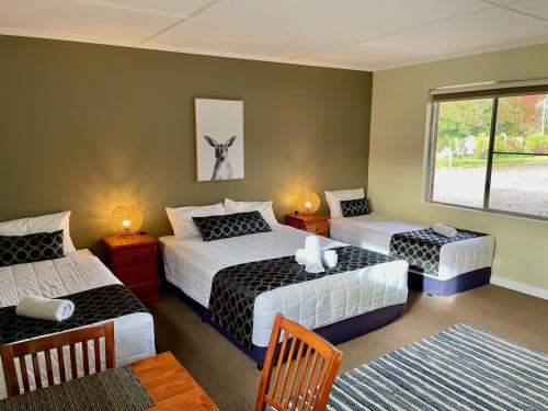 a bedroom with three beds and a window at Quirindi Sunflower Motor Inn in Quirindi
