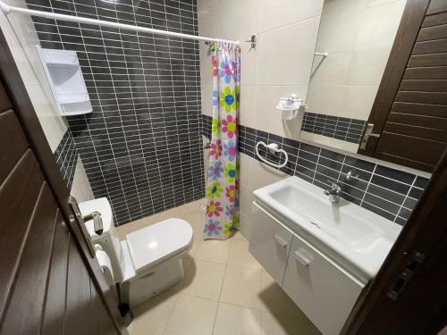 La salle de bains est pourvue d'un lavabo, de toilettes et d'une douche. dans l'établissement Marchica bay 20 holiday apartment, à Nador