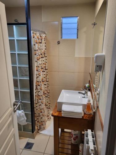 een badkamer met een wastafel en een douche bij Casa Magallanes Ushuaia in Ushuaia