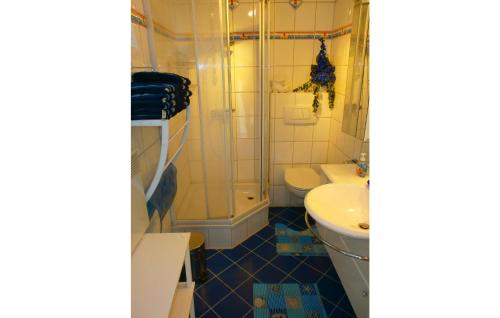 a bathroom with a shower and a toilet and a sink at Lovely Home In Diedrichshagen With Kitchen in Diedrichshagen