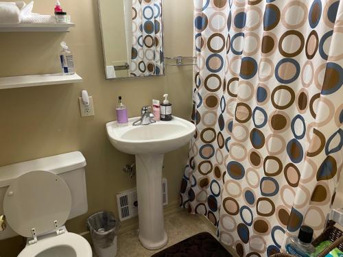 un bagno con lavandino, WC e tenda da doccia di Village at Winnipesaukee 59 Treetop #432 a Laconia