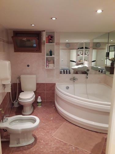 a bathroom with a toilet and a tub and a sink at L'anthurium de l'Opéra in Nice