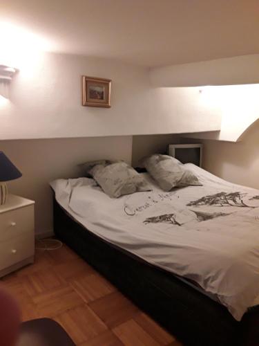 uma cama com duas almofadas num quarto em L'anthurium de l'Opéra em Nice