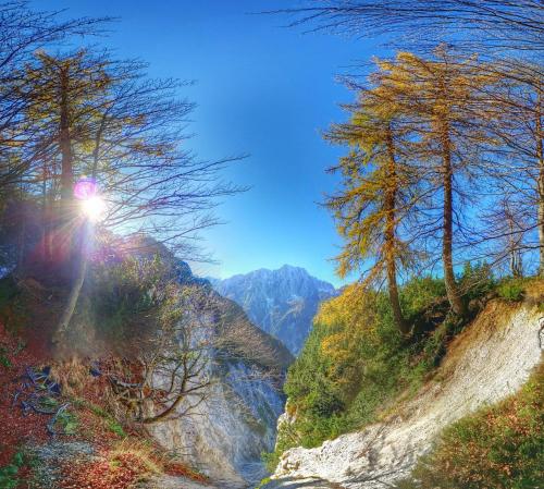 Gallery image of Vitranc Boutique Hotel in Kranjska Gora