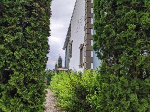un edificio blanco con arbustos verdes delante de él en Old School Villa, en Gnedin