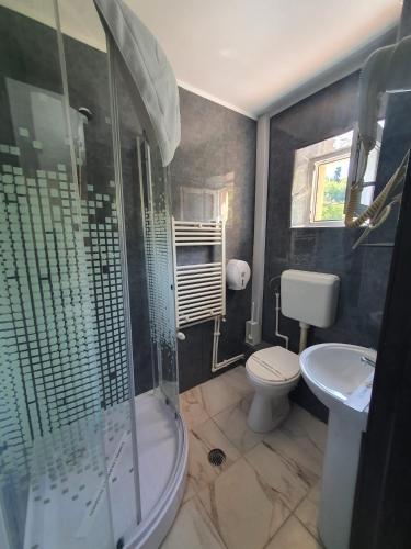 a bathroom with a shower and a toilet and a sink at Hotel Green Palace in Sinaia