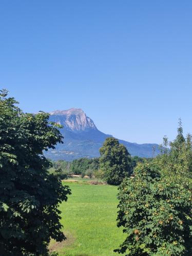 a mountain in the middle of a field with trees at Appartement Mont Guillaume in Embrun