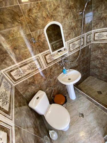 a bathroom with a toilet and a sink at Lia's Guest House in Sighnaghi