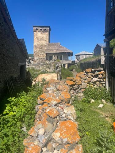 a stone path leading to a building with a tower at Gunter Guest house in Adishi