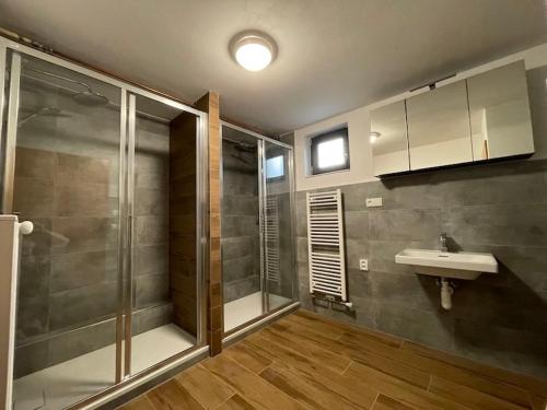 a bathroom with a shower and a sink at Chalet Gamma in Jáchymov