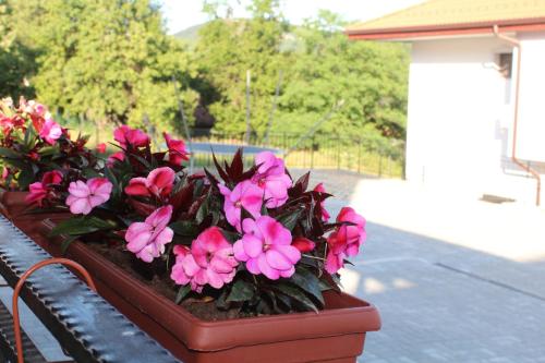 a pot of pink flowers sitting on a rail at Бадевски рай-къща Надежда in Badewzi