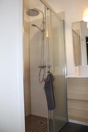 a shower with a glass door in a bathroom at Gîte avec bain nordique dans la campagne brayonne pour 2 personnes in Massy