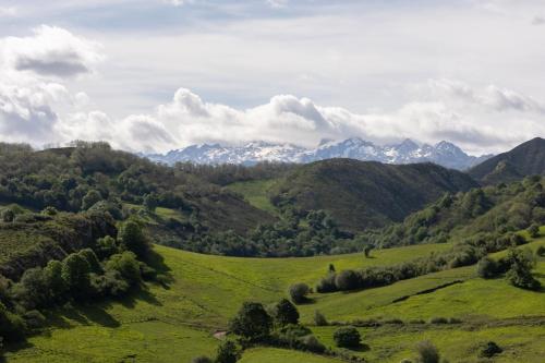 a green field with mountains in the background at La besñada in Cangas de Onís