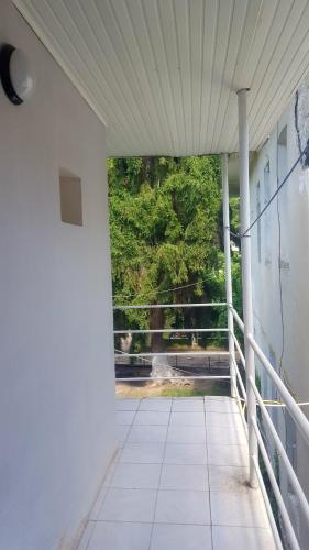 a view from the inside of a porch at Firuza Hostel in Borjomi