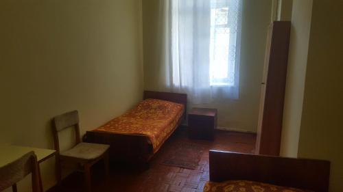 a small room with a bed and a window at Firuza Hostel in Borjomi