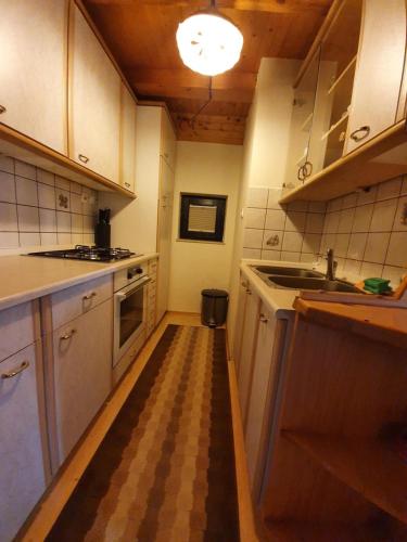 Kuchyň nebo kuchyňský kout v ubytování Chalet Anita Rogla