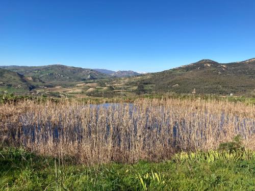 a field of tall grass with a lake in the foreground at La Casa Delle Olive in Gagliano Castelferrato