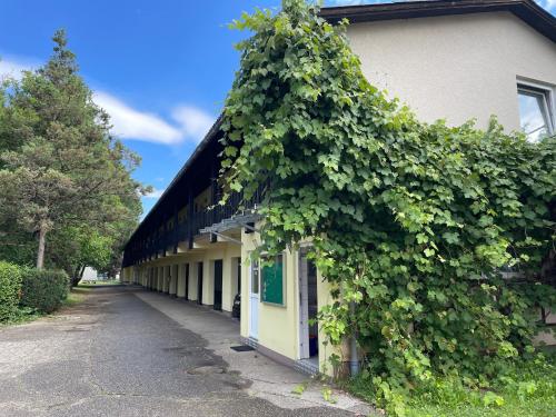 a building with a ivy growing on the side of it at Rosental Apartments Self Check-in in Ferlach