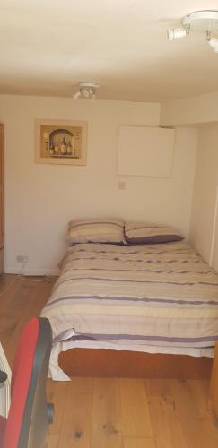 a bedroom with a bed in a room at 20 in Guildford