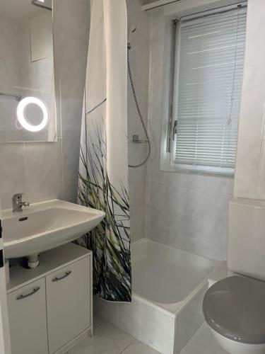 a bathroom with a sink and a toilet and a shower at Residenz Majesta in Leukerbad