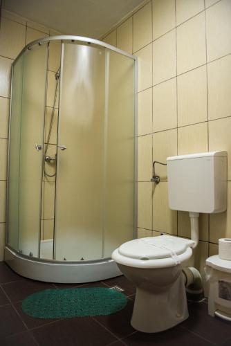 a bathroom with a glass shower and a toilet at Vila Alex in Tăşnad