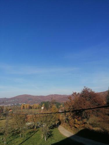 a view of a field with trees and a road at Log cabin 1 Merdovic in Mojkovac