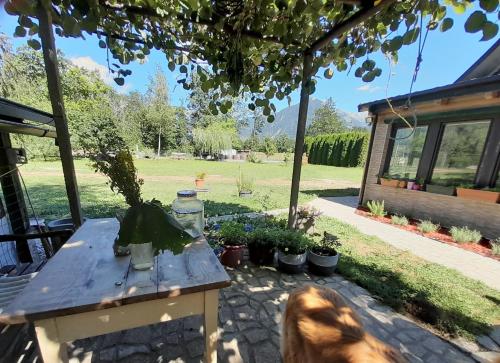 een hond naast een tafel met planten bij Apartments Radulje Bovec in Bovec