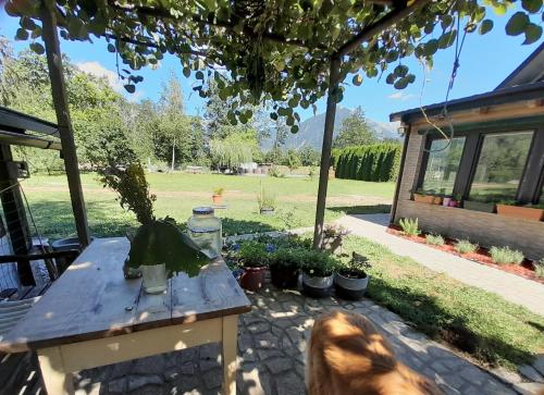 einem Hund neben einem Tisch mit Pflanzen in der Unterkunft Apartments Radulje Bovec in Bovec