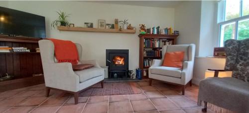 a living room with two chairs and a fireplace at Dingle Woodland Cottage in Dingle