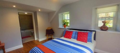 Dingle Woodland Cottage في دينغل: غرفة نوم مع سرير مع الوسائد الحمراء والزرقاء