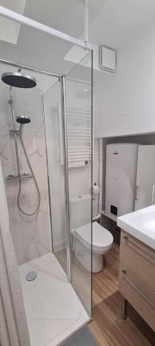 une salle de bain avec une douche en verre et des toilettes dans l'établissement Joli studio Avignon intra-muros, à Avignon