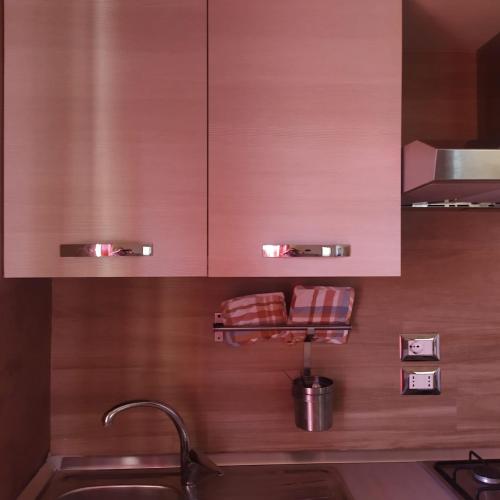 a kitchen with a sink and a wooden wall at Terrazza sul Mare in Giulianova