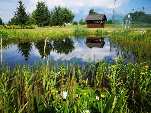 Fotografie z fotogalerie ubytování Apartman LARIA ve Velké Lomnici