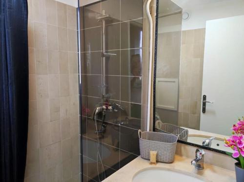 une salle de bain avec une douche avec un lavabo et un miroir dans l'établissement Cnossos YourHostHelper, à Cannes