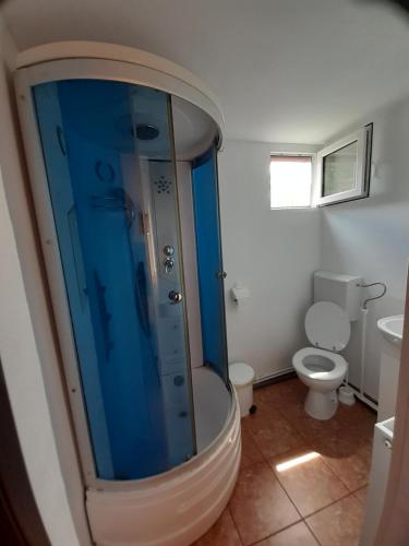 a bathroom with a shower and a toilet at CASA IZA in Băile Herculane