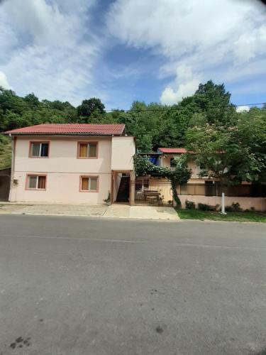 een huis aan de kant van een straat bij CASA IZA in Băile Herculane