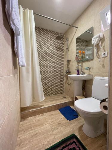 ein Bad mit einer Dusche, einem WC und einem Waschbecken in der Unterkunft Warm House in Kazbegi